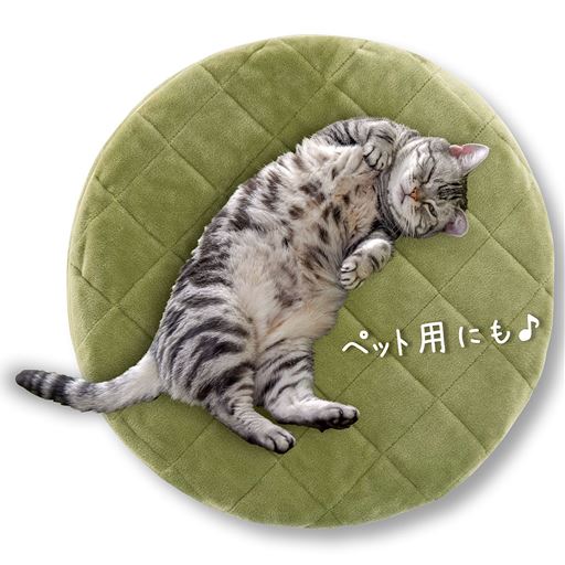 グリーン A (ソフトタイプ)<br>ふんわり快適なソフトタイプはペット用としてもおすすめ!