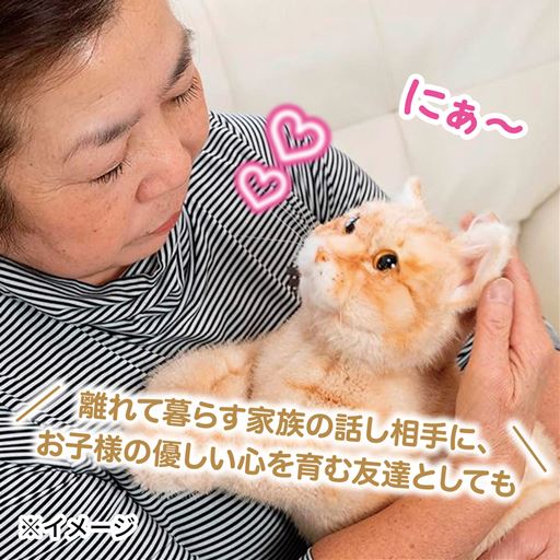猫を飼うことが難しい方のためのリアルな猫型ロボットです。<br>あなたのおうちでも新しいパートナーとして迎えてみませんか。<br>A(トラ)