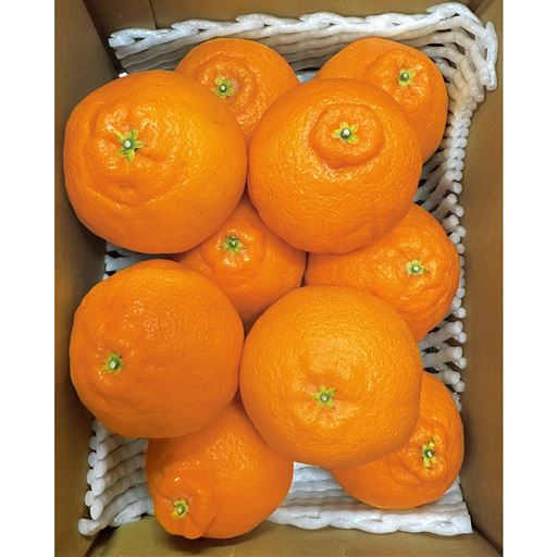 ※イメージ写真