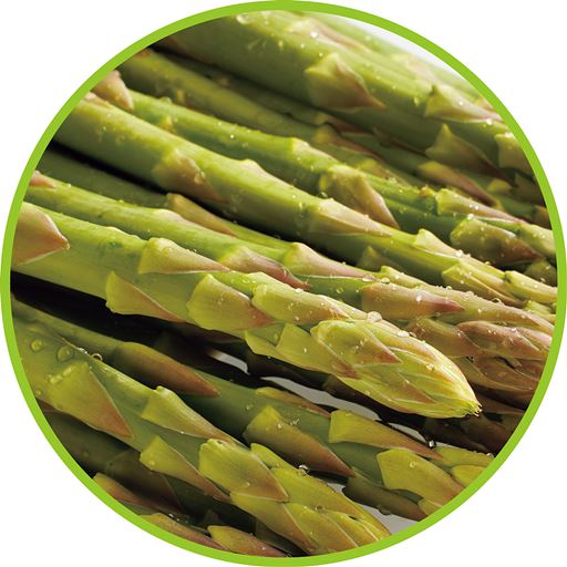 採れたてのアスパラは生で食べられるといわれているほど柔らかいのが特長。