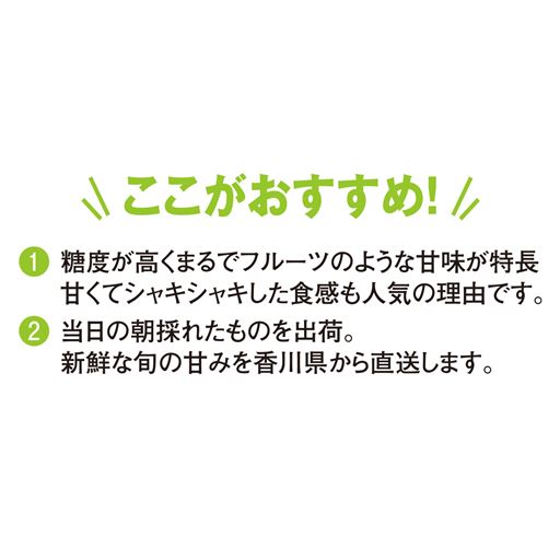 ここがおすすめ!