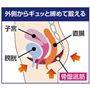 骨盤底筋とは 骨盤の底にある筋肉の総称。臓器を支えながら排泄のトレーニングを行っています。筋力低下などでゆるんでいくため、日々の生活の中で鍛えることをおすすめします。