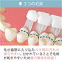 毛が歯間に入り込み、すき間汚れが落ちやすい。さらに毛束が分かれていることで毛根が乾きやすい!