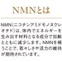 NMNとは