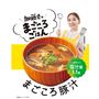加藤家のまごころごはん 塩分量1.1g まごころ豚汁 (150g×2袋)×5セット