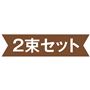 2束セット