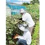 農作業に