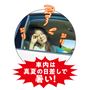真夏の日差しで車内は暑い...