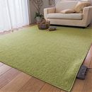 ラグ・カーペット（防ダニ・防カビ・抗菌防臭）