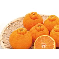 貯蔵デコポン 2kg