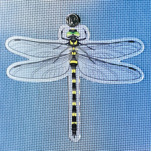 たのむぞ!オニヤンマ(4匹セット)