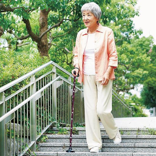 玄関などの段差に 坂道などの傾斜に