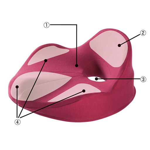 (1)仙骨を立ち上げる傾斜…仙骨起立傾斜で骨盤を平行にし、仙骨を立ち上げる。背骨の自然なS字カーブを作ることで正しい姿勢へ。<br>(2)仙骨サポート…仙骨ホルダー部で立ち上げた仙骨をしっかりサポート。姿勢をキープ。<br>(3)座面ホール…尾骨への圧迫を防ぎ、耐圧をより広い範囲で分散することで腰への負担を軽減。<br>(4)骨盤サポート…骨盤を包み込む3D立体形状で腰回りをホールド。<br>※色付き部分はサポートイメージ
