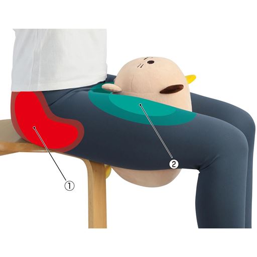 (1)骨盤底筋(2)内転筋※イメージ