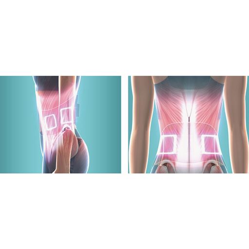 ベルト引き締め×EMSトレーニング Wアプローチで効果的にお腹まわりを引き締める!! EMS 低・中・高周波の刺激でくびれ筋(腹斜筋)を挟みこんでパワフルに刺激。