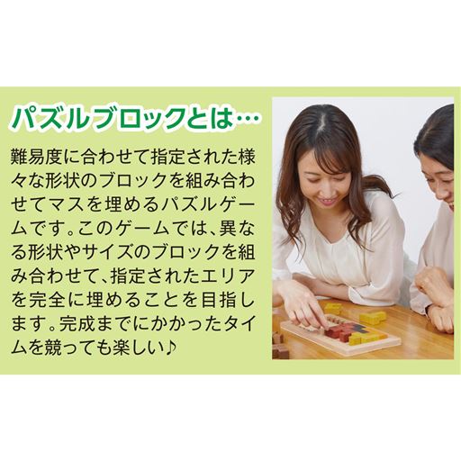 パズルブロックとは…