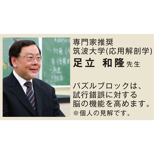 専門家推奨筑波大学(応用解剖学)足立和隆先生 パズルブロックは、試行錯誤に対する脳の機能を高めます。※個人の見解です。