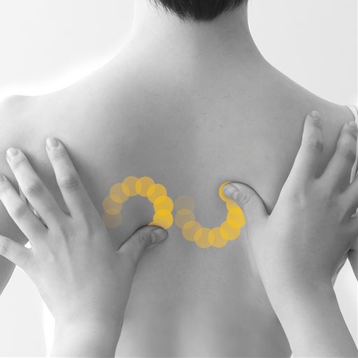 気になる部位に合わせてモードが選べます。<br>ゆらしモードは肩甲骨まわりにおすすめ