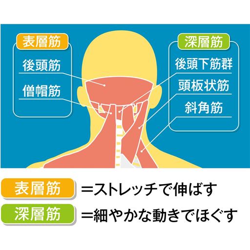 首周りの筋肉を丸ごと指圧