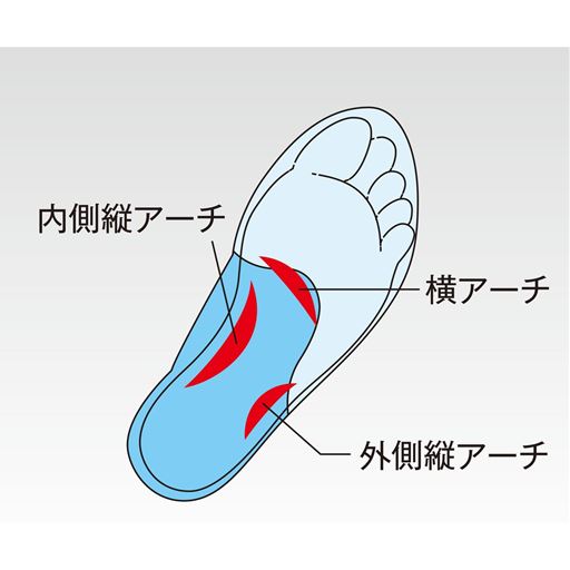 足裏のアーチをサポート!
