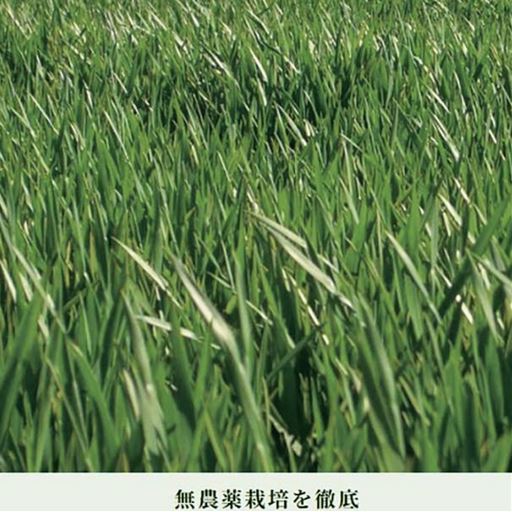 無農薬栽培を徹底