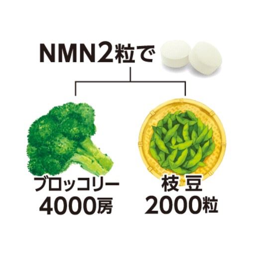 NMN2粒の目安