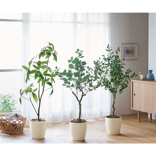 本物そっくり!見映えるボリューム