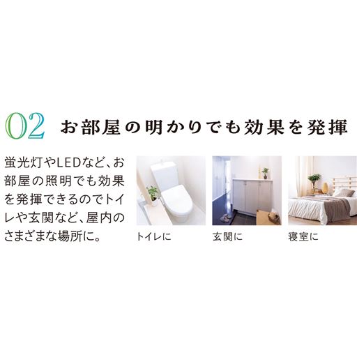 お部屋の明かりでも効果を発揮