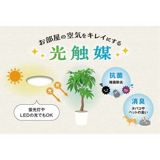 お部屋の空気をキレイにする光触媒