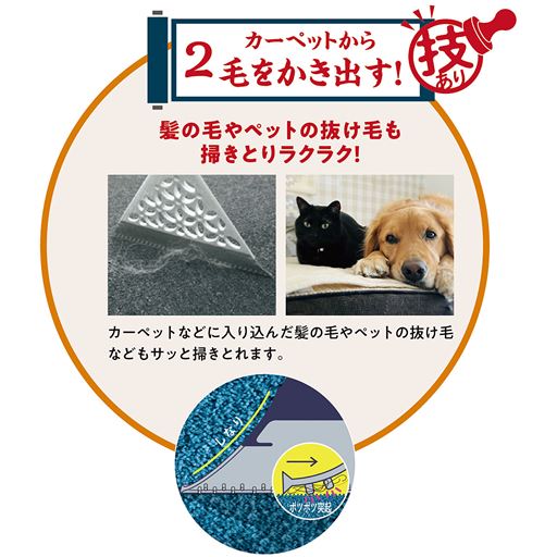 カーペットから毛をかき出す!