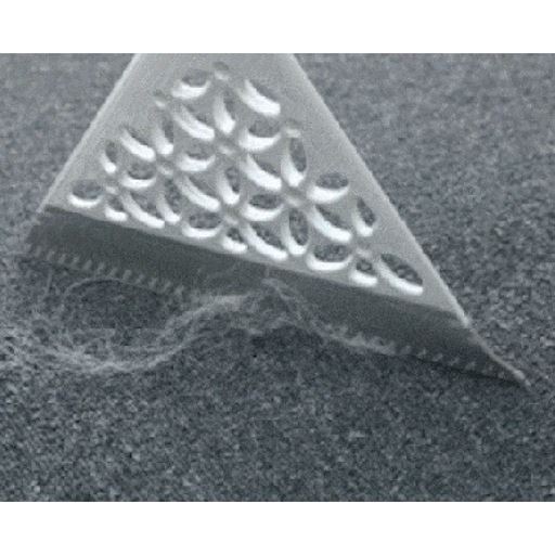 髪の毛やペットの抜け毛も掃きとりラクラク!