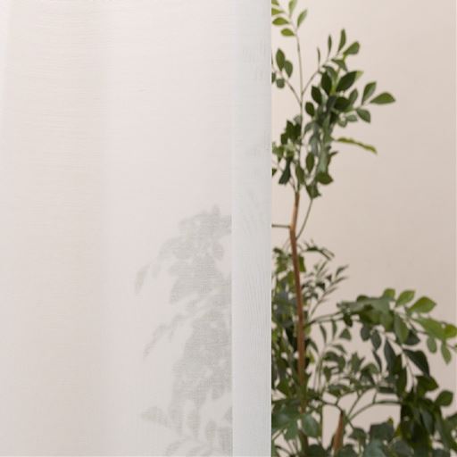 オフホワイト<br>【透け感の目安:透けやすい】