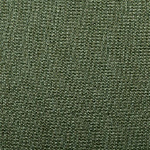 生地拡大<br>グリーン