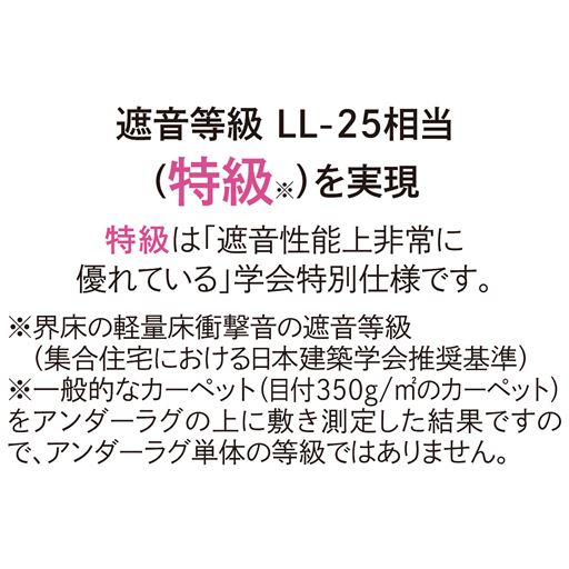 遮音等級LL-25相当(特級※)を実現