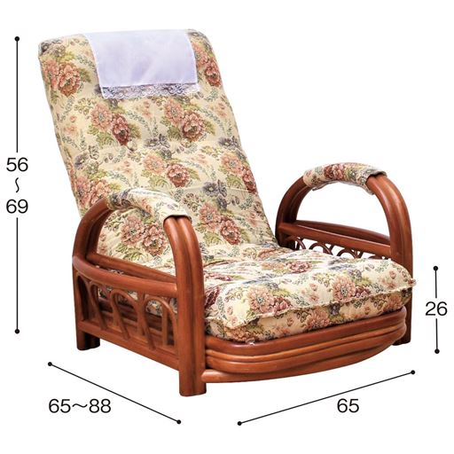 A (ロータイプ) サイズ寸法<br>※寸法の単位は約cmです。