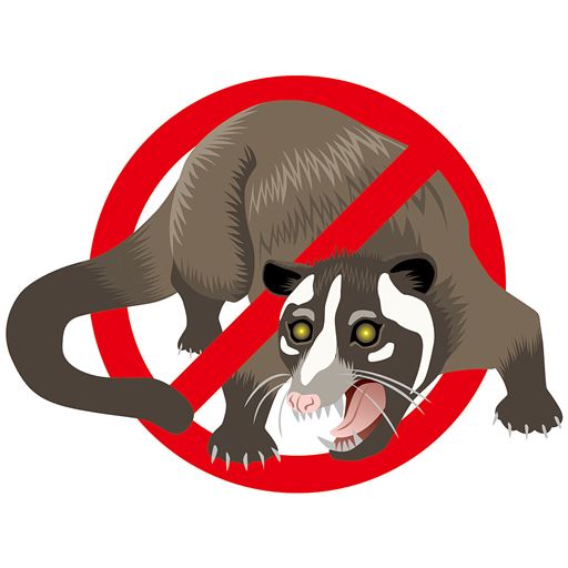 ハクビシンを追い払う!!