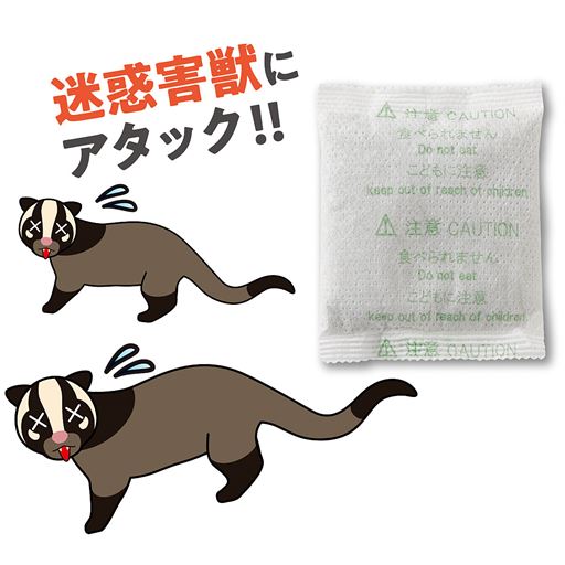 迷惑害獣にアタック!!