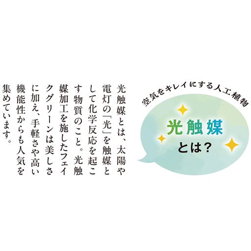光触媒とは?