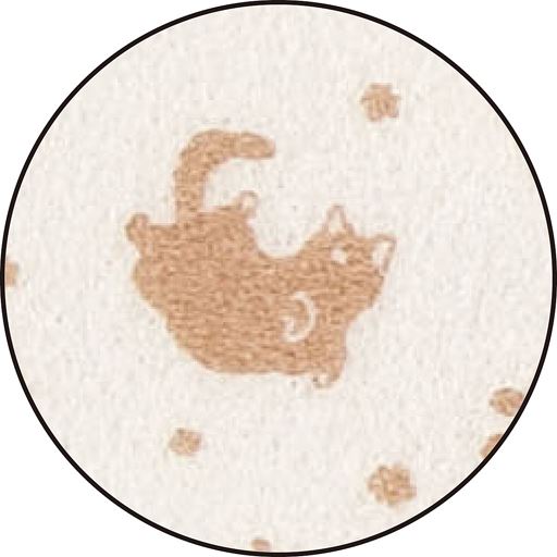 A(ネコ) 表面拡大