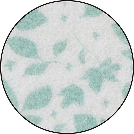 B(リーフ) 表面拡大