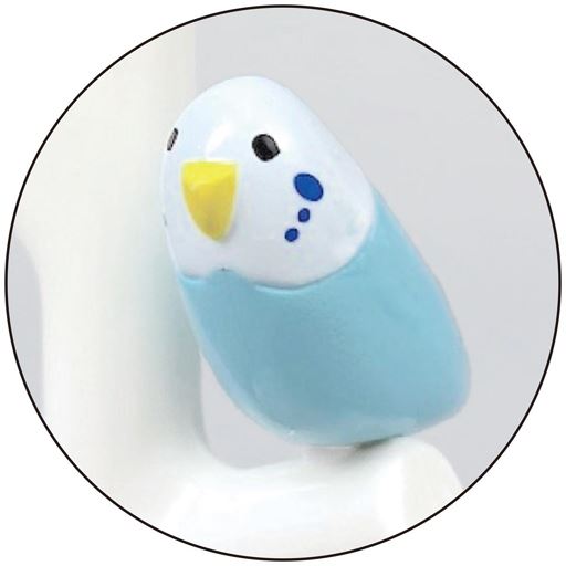 インコも居るよ!