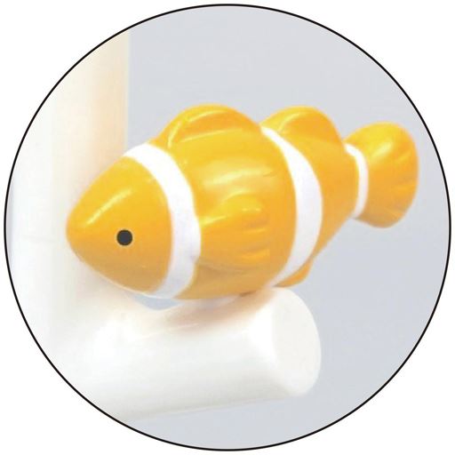 カクレクマノミも居るよ!