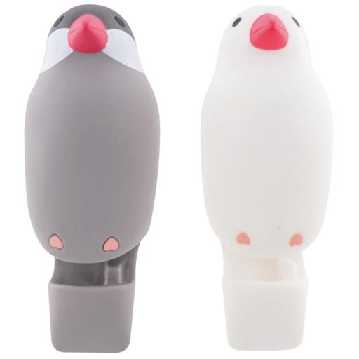 B(ブンチョウ) インコとブンチョウも居るよ!