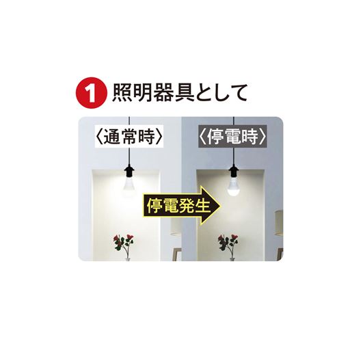 (1)照明器具として 通常の点灯中に自動充電し、停電を自動検知して非常点灯モードに。