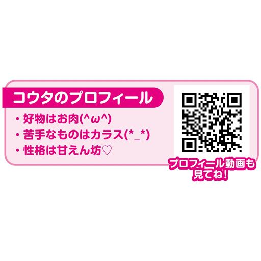 コウタのプロフィール