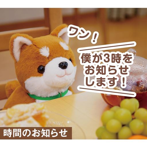 コウタはこんな事ができます!