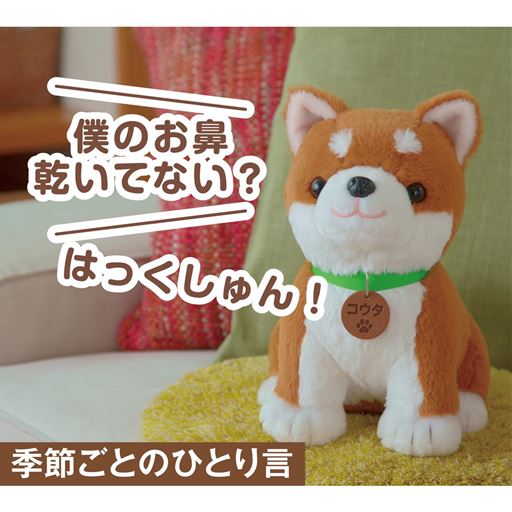 コウタはこんな事ができます!