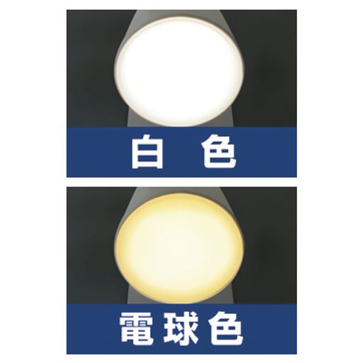 選べる電球色