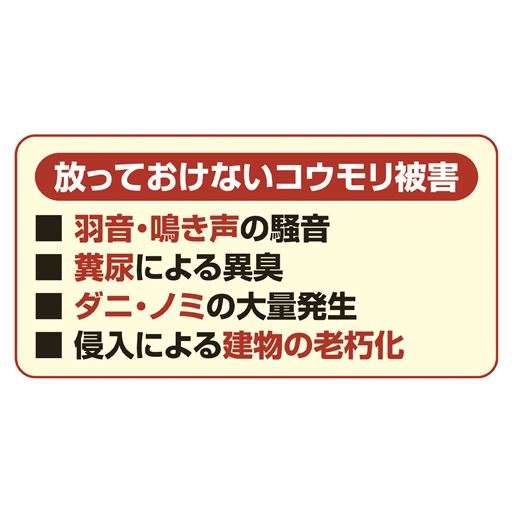放っておけないコウモリ被害