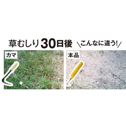 ※使用状況や環境によって異なる場合があります。